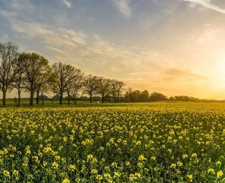 Options Trading - Waterman Capital