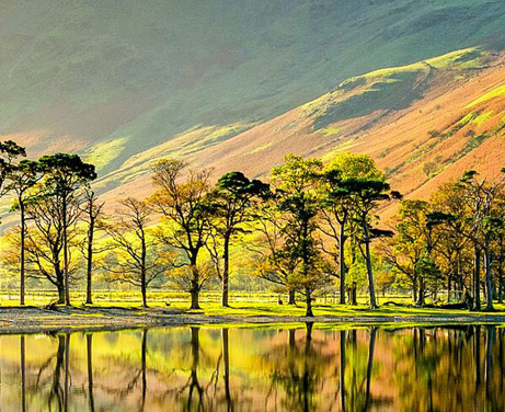 Retail Trading - Waterman Capital